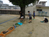 IMG_0029